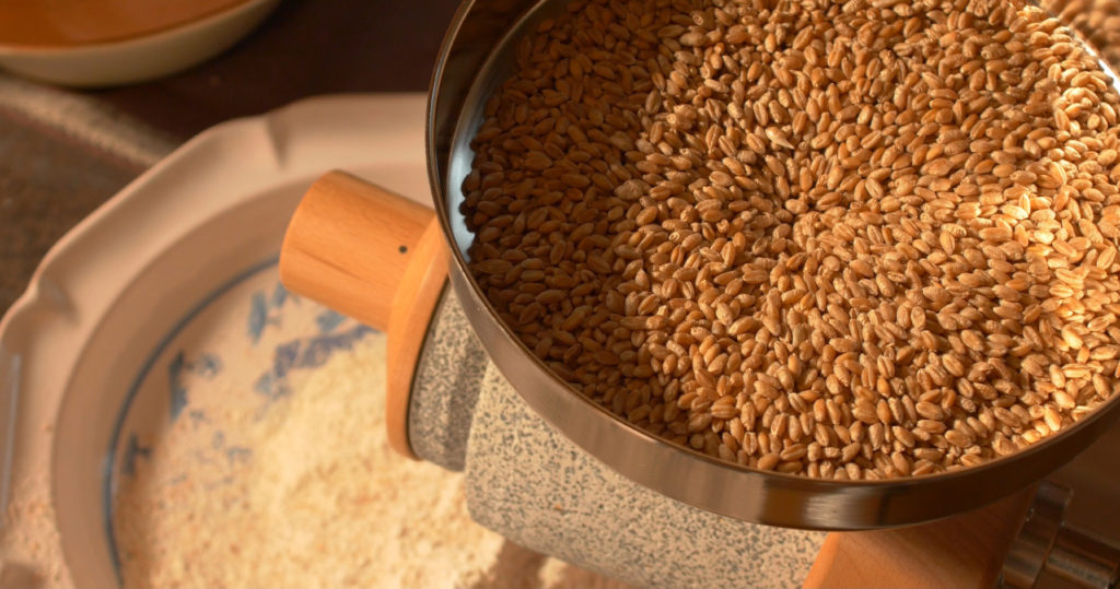 Mouture de blés récoltés au Moulin de Sugy. A la découverte des qualités boulangères, gustatives et nutritives de variétés paysannes.