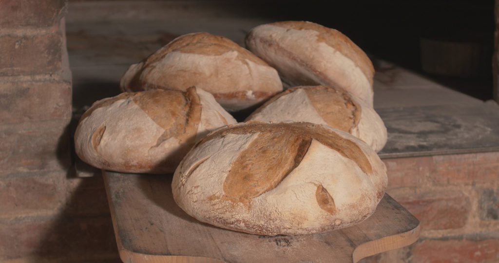 Défournage des pains cuits à point - Moulin de Sugy